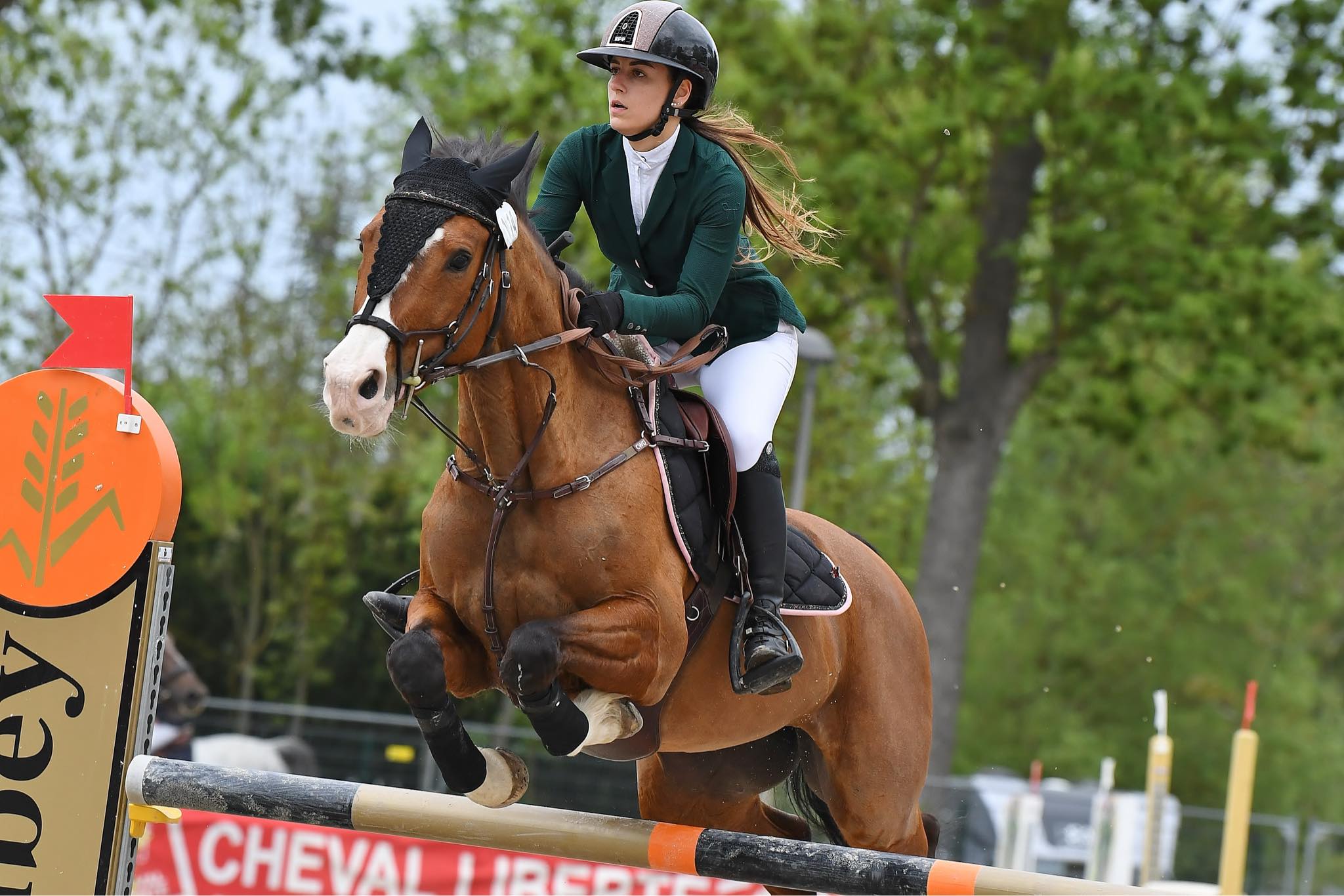 Photo de Nicolas REIBEL, un assesseur du Club Hippique Eckwersheim près de Strasbourg